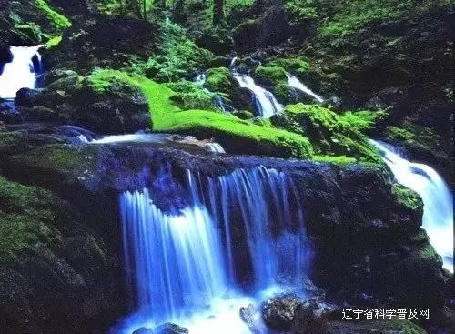 天启联盟